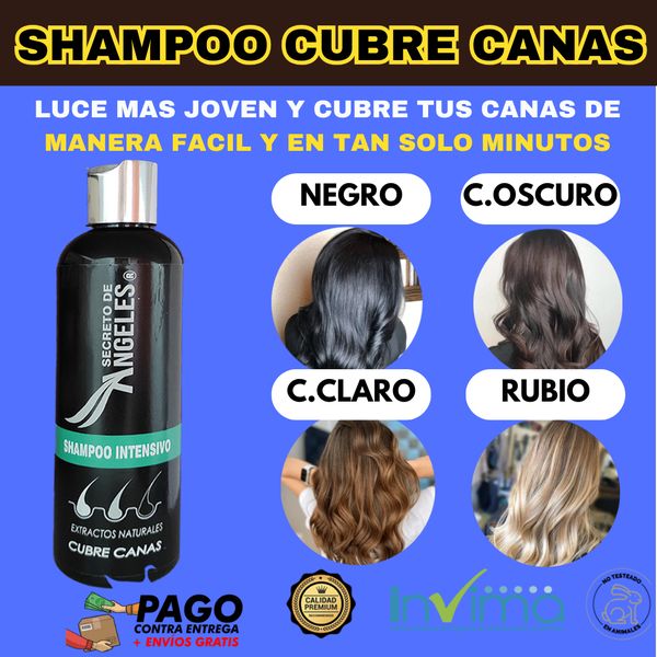 KIT 3x1 - SHAMPO CANAS SECRETOX 1UN+2OBSEQ