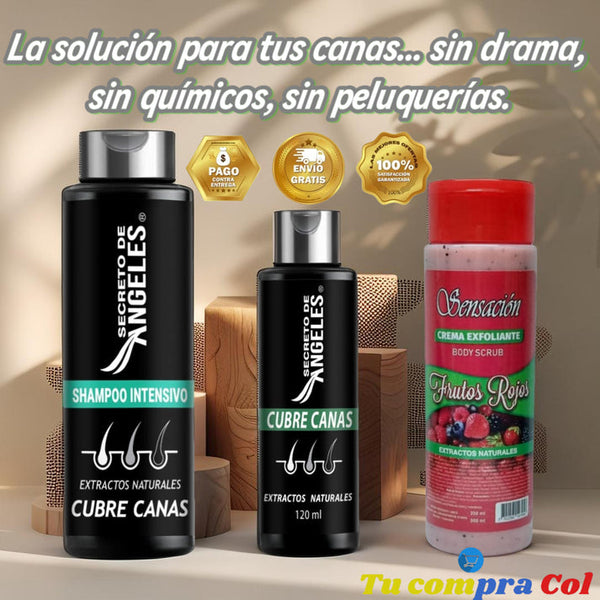 KIT 3x1 - SHAMPO CANAS SECRETOX 1UN+2OBSEQ