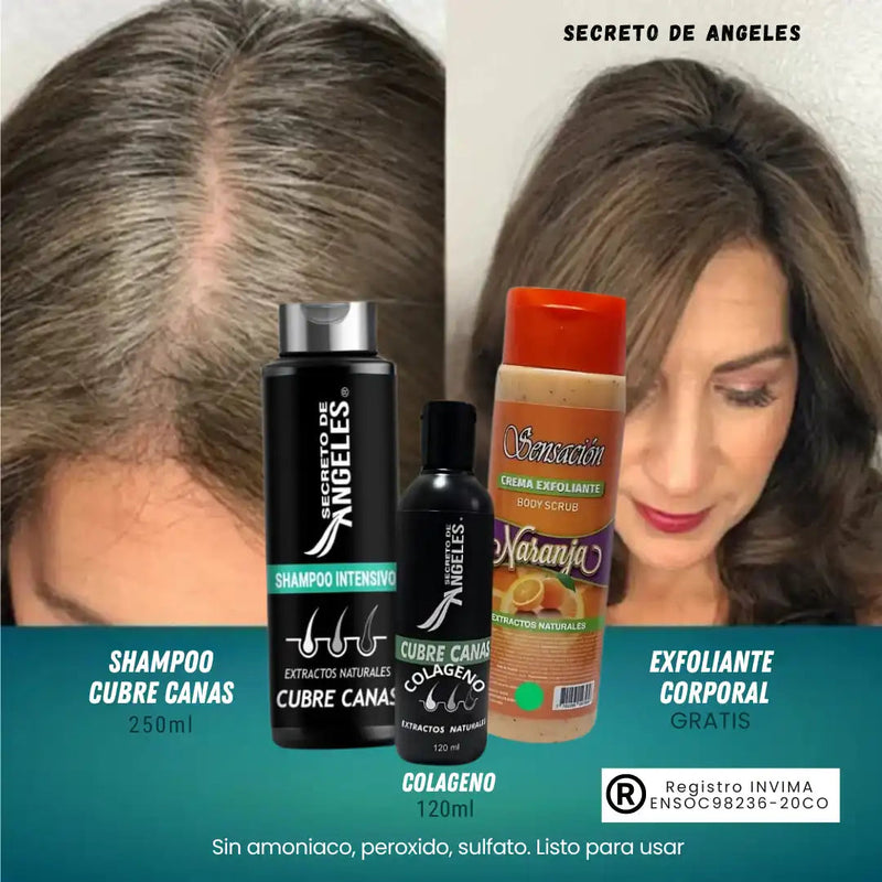 KIT 3x1 - SHAMPO CANAS SECRETOX 1UN+2OBSEQ