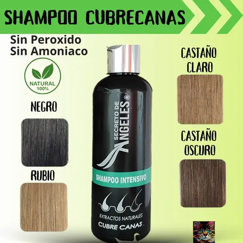KIT 3x1 - SHAMPO CANAS SECRETOX 1UN+2OBSEQ