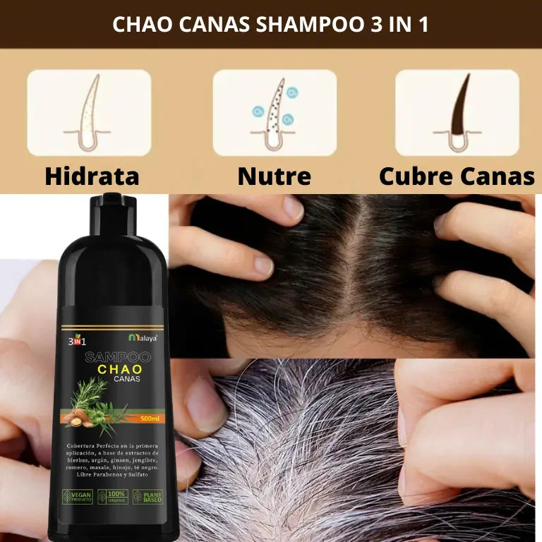 SHAMPOO CHAO  CANAS + TRATMIENTO