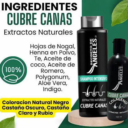 KIT 3x1 - SHAMPO CANAS SECRETOX 1UN+2OBSEQ