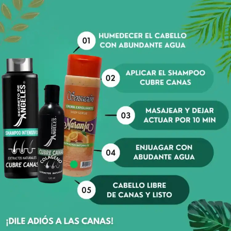 KIT 3x1 - SHAMPO CANAS SECRETOX 1UN+2OBSEQ
