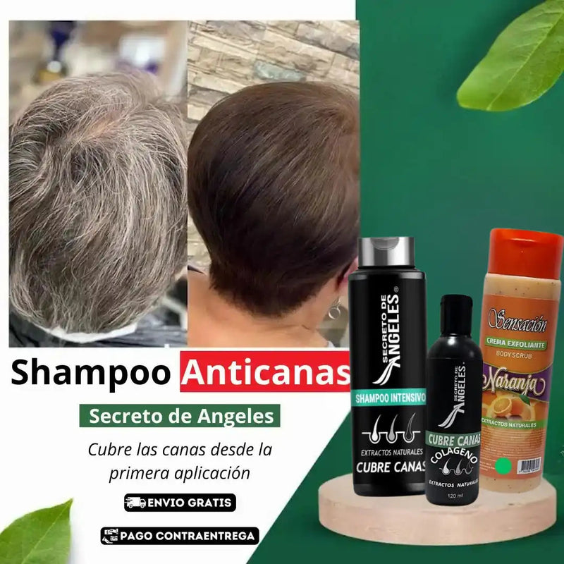 KIT 3x1 - SHAMPO CANAS SECRETOX 1UN+2OBSEQ