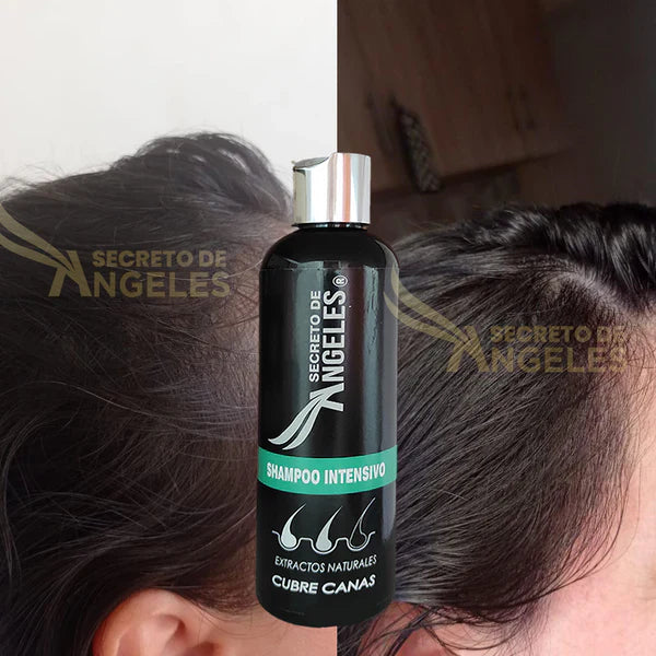 KIT 3x1 - SHAMPO CANAS SECRETOX 1UN+2OBSEQ