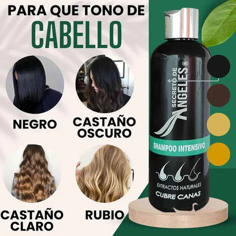 KIT 3x1 - SHAMPO CANAS SECRETOX 1UN+2OBSEQ