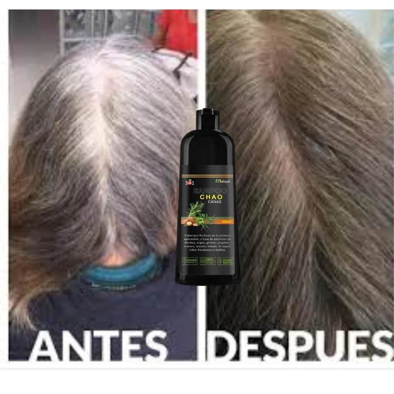 SHAMPOO CHAO  CANAS + TRATMIENTO