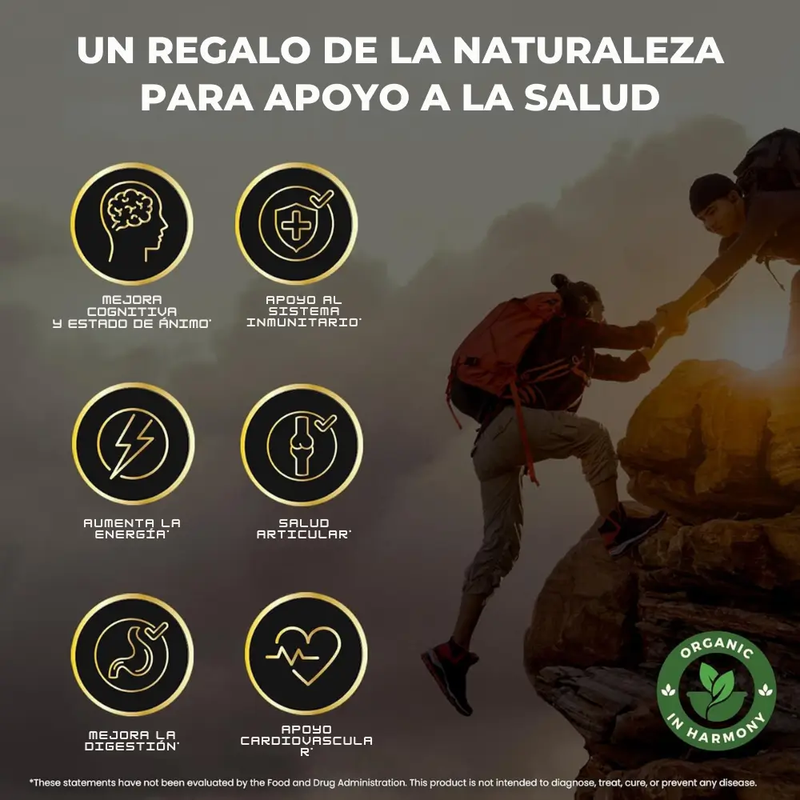 GOMAS SHILAJIT x 160g -MEGA OFERTA