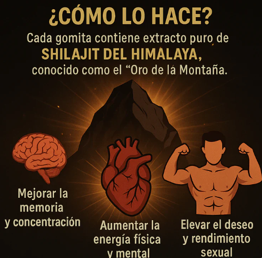 GOMAS SHILAJIT x 160g -MEGA OFERTA