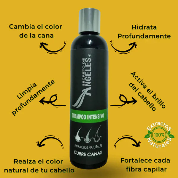 KIT 3x1 - SHAMPO CANAS SECRETOX 1UN+2OBSEQ